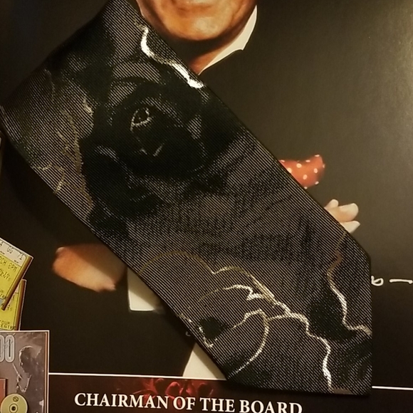 Roberto Cavalli silk and cotton tie - Picture 1 of 7
